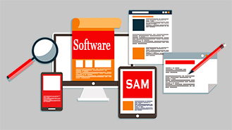 Eficiencia en la gestión de activos de software (SAM